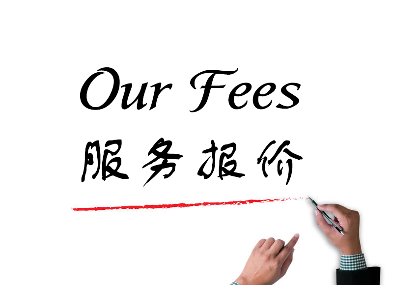 [SG] Our Fees for the Services Provided
